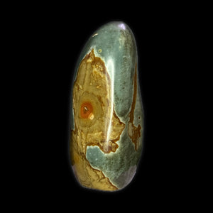 Polychrome Jasper